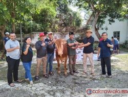 SAMBUT IEDUL ADHA 1446 H / 2025 M, PERUM PERHUTANI KPH BONDOWOSO BAGIKAN DAGING QURBAN UNTUK FAQIR MISKIN