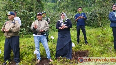 UNTUK MENINGKATKAN EKONOMI MASYARAKAT, ADM PERHUTANI BONDOWOSO DAN BUPATI SITUBONDO GELAR UJI COBA TANAMAN KOPI YELLOW CATTURA