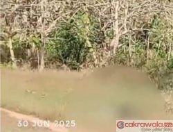 Heboh!!!!!! Warga Menemukan Mayat Laki-Laki Bergeletak di Lahan Kosong