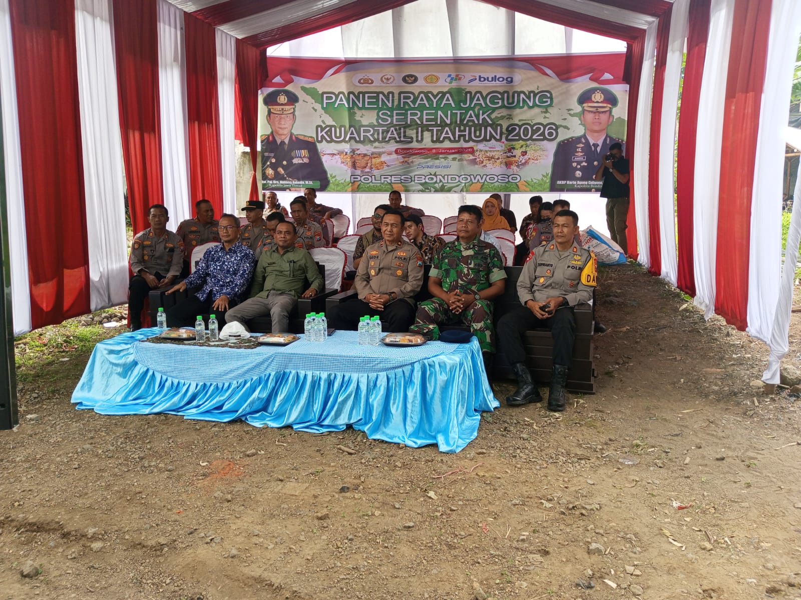 Danramil Wonosari Hadiri Panen Raya Jagung Serentak, Perkuat Ketahanan Pangan Bondowoso